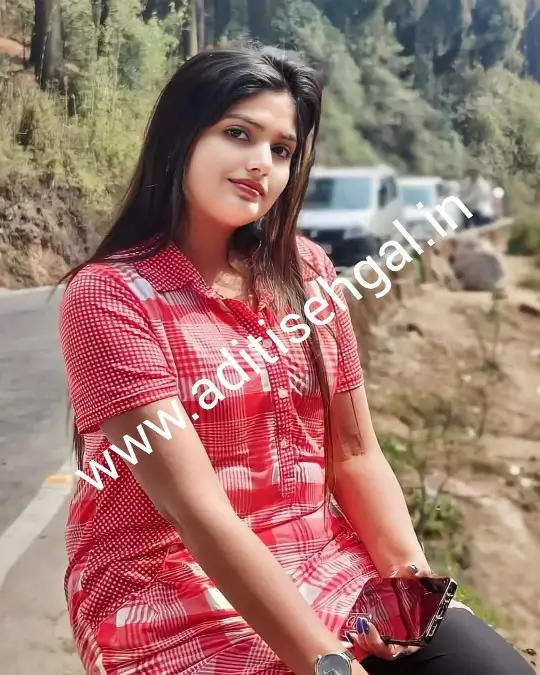 anytime hire russian call girls in Delhi